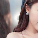 S925 Ice Flower 5A Zircon Stud Earrings, Sterling Silver Jewelry for Women - FITINY Jewelry