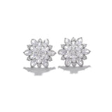 S925 Ice Flower 5A Zircon Stud Earrings, Sterling Silver Jewelry for Women - FITINY Jewelry