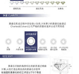 Back view showing secure clasp and smooth chain finish