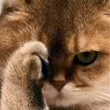 Back-of-wrist angle highlighting comfort fit and smooth white gold plating finish