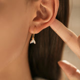 Close-up of magnolia petal detail and polished silver texture